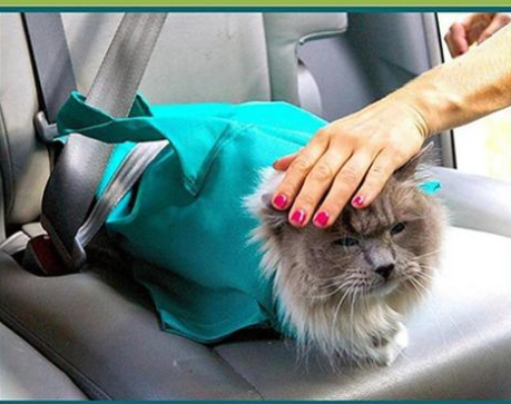 Pet Travel Sling Bag - Breathable Carrier for Small Dogs