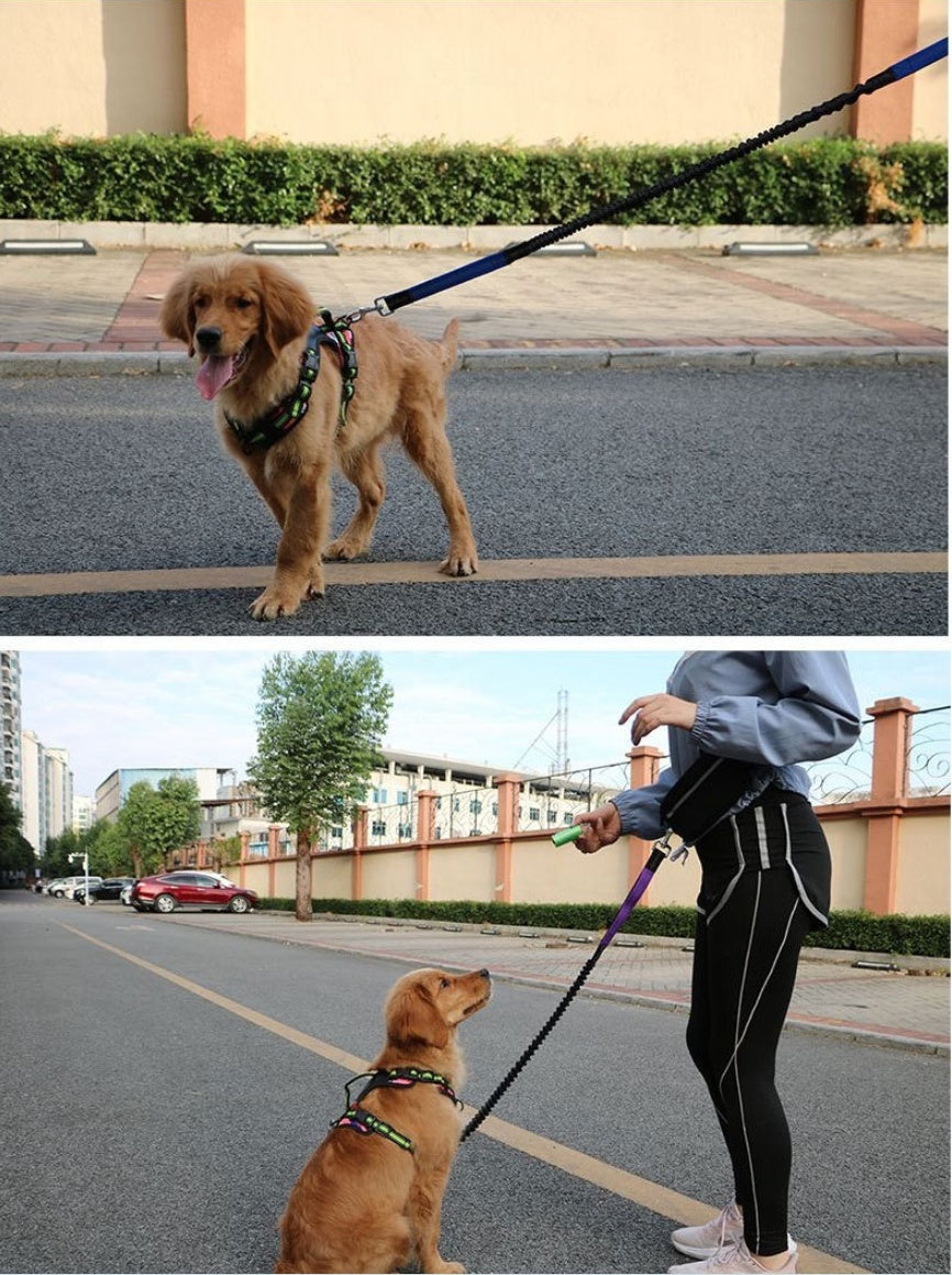 Retractable Dog Leash - Shock-Absorbing Hands-Free
