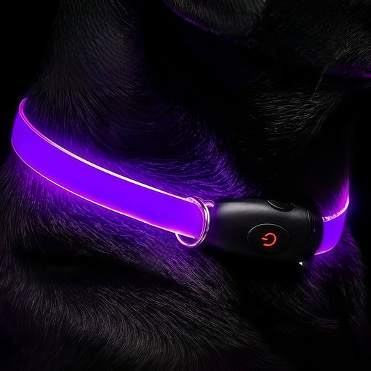 Premium 2026 LED safety dog collar with USB-C fast charging