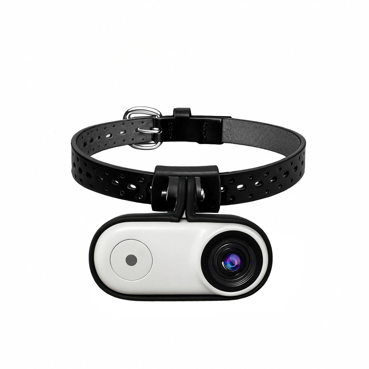 Stabilized pet POV camera with electronic image stabilization 2K