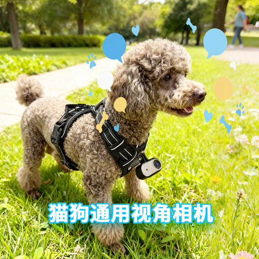 Stabilized pet POV camera with electronic image stabilization 2K