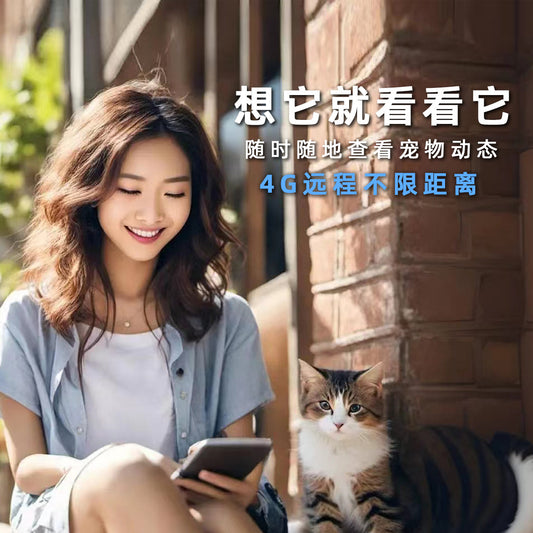 Live pet collar camera with night vision GPS tracking for dogs