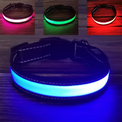 LED Dog Collar - Rechargeable Night Safety Light