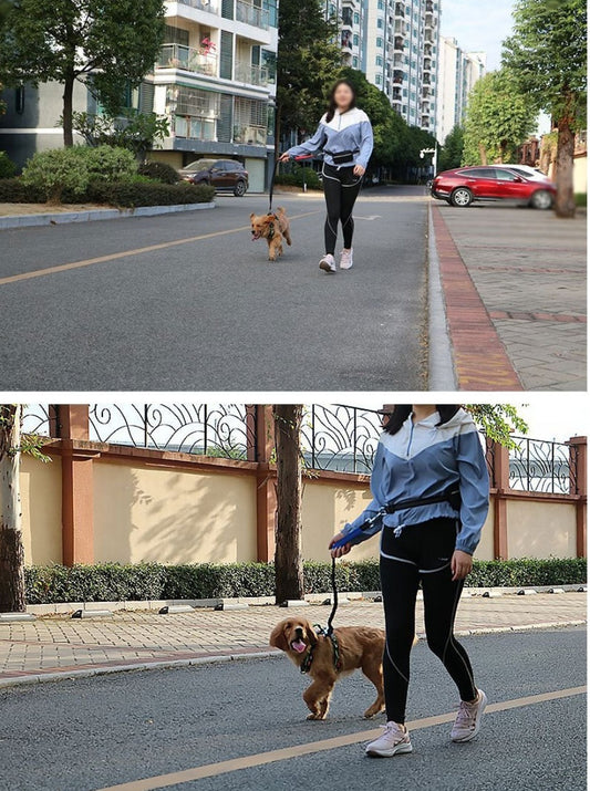 Retractable Dog Leash - Shock-Absorbing Hands-Free