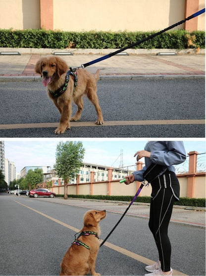 Retractable Dog Leash - Shock-Absorbing Hands-Free
