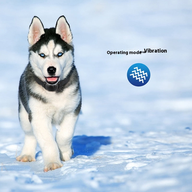 Anti-Bark Training Collar - 3 Safe Modes