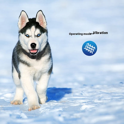 Anti-Bark Training Collar - 3 Safe Modes