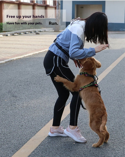 Retractable Dog Leash - Shock-Absorbing Hands-Free