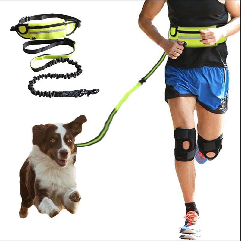 Hands-Free Dog Leash - Waist Training Belt