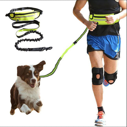 Hands-Free Dog Leash - Waist Training Belt