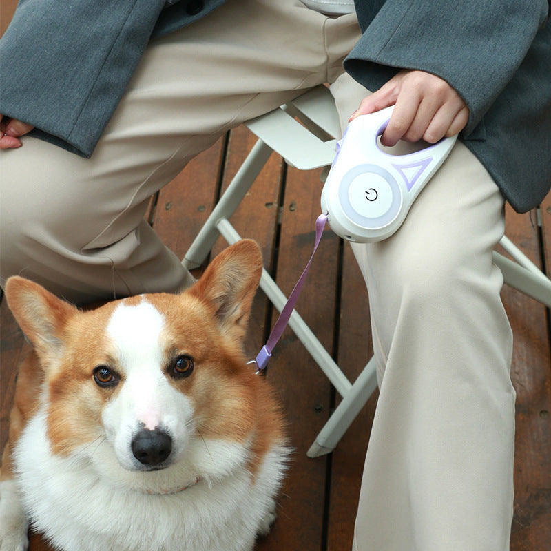 Retractable Dog Leash & Collar Set - Night Spotlight