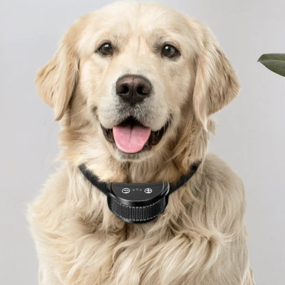 Anti-Bark Training Collar - 3 Safe Modes