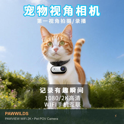 Stabilized pet POV camera with electronic image stabilization WiFi