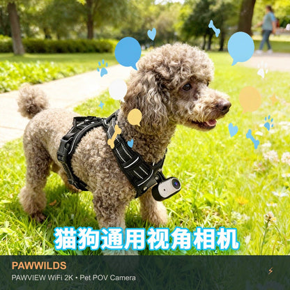 Stabilized pet POV camera with electronic image stabilization WiFi