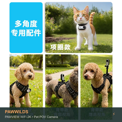 Stabilized pet POV camera with electronic image stabilization WiFi