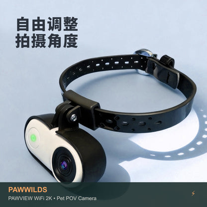 Stabilized pet POV camera with electronic image stabilization WiFi