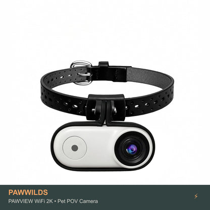Stabilized pet POV camera with electronic image stabilization WiFi