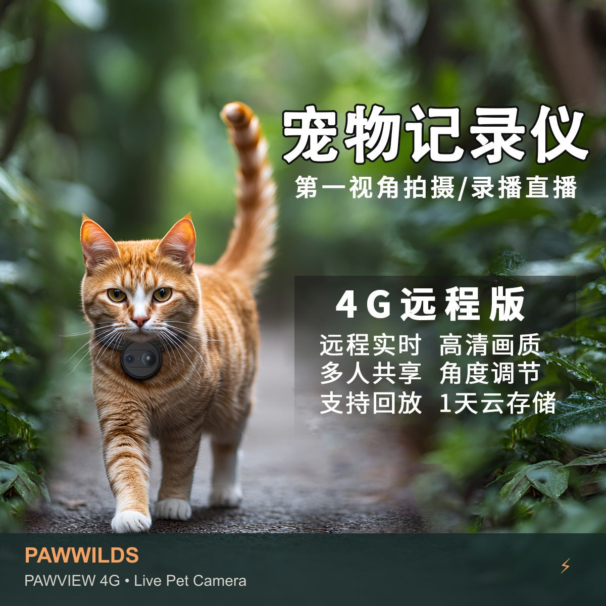 Live pet collar camera with night vision GPS tracking for dogs