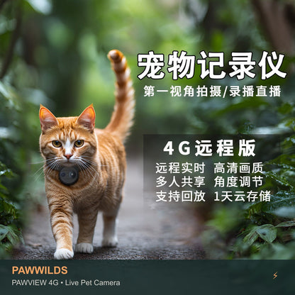Live pet collar camera with night vision GPS tracking for dogs
