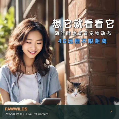 Live pet collar camera with night vision GPS tracking for dogs