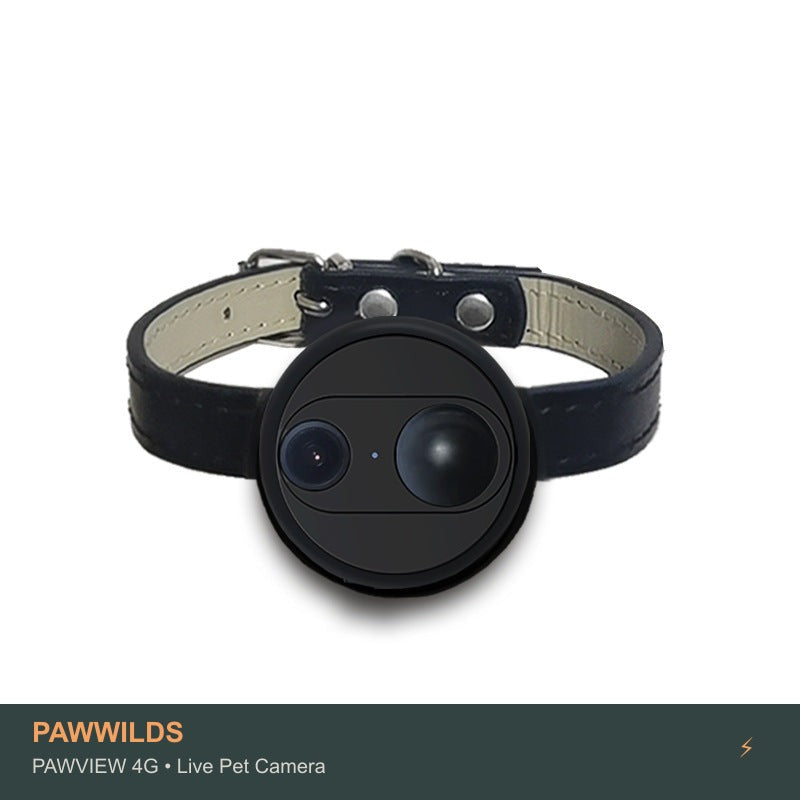 Live pet collar camera with night vision GPS tracking for dogs