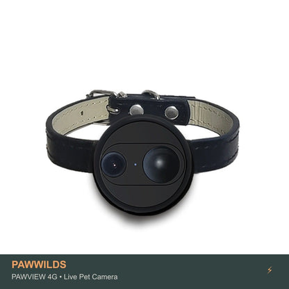 Live pet collar camera with night vision GPS tracking for dogs