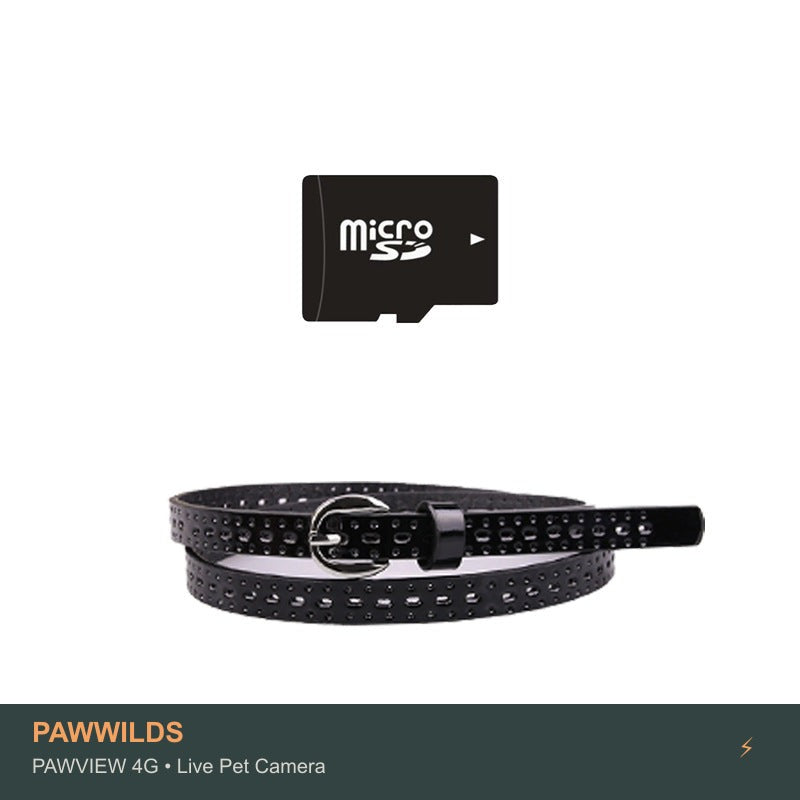 Live pet collar camera with night vision GPS tracking for dogs