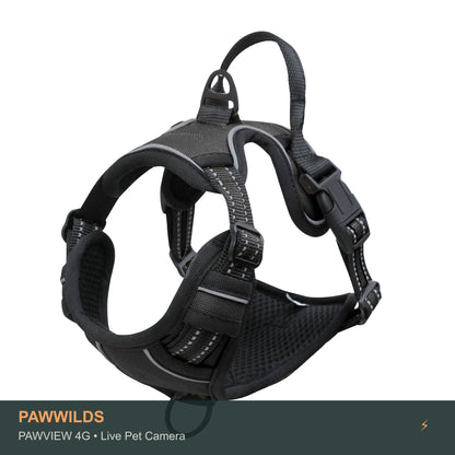 Live pet collar camera with night vision GPS tracking for dogs