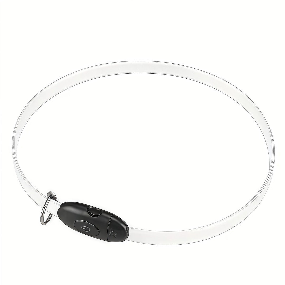 Premium 2026 LED safety dog collar with USB-C fast charging