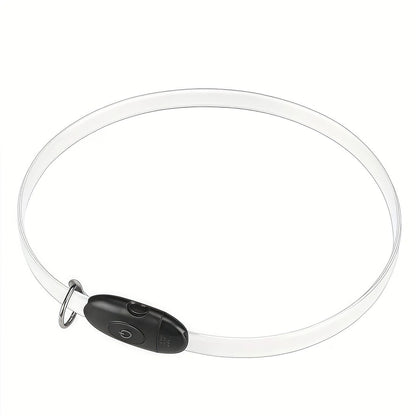 Premium 2026 LED safety dog collar with USB-C fast charging