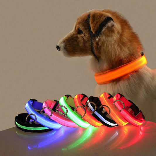 USB rechargeable LED dog collar with fiber optic mesh for night safety