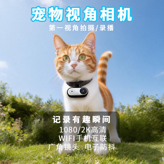 Stabilized pet POV camera with electronic image stabilization 2K