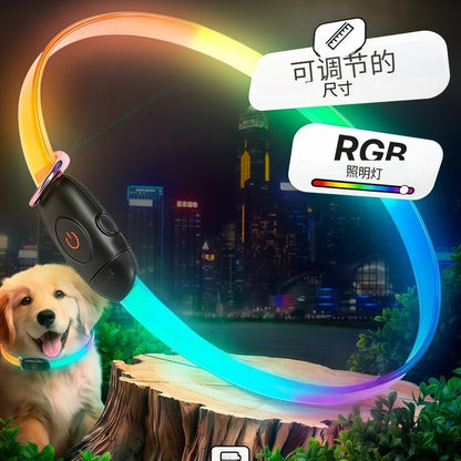 Premium 2026 LED safety dog collar with USB-C fast charging