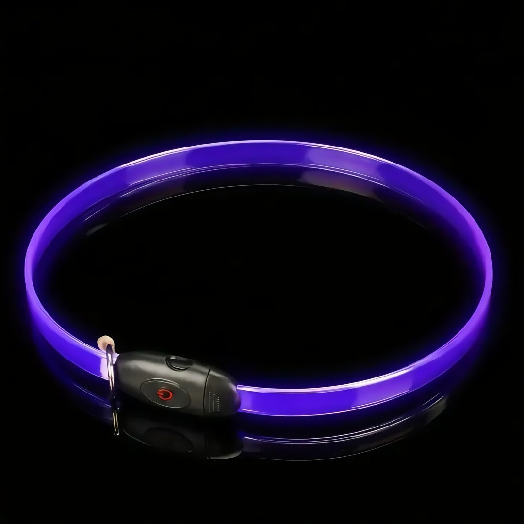 Premium 2026 LED safety dog collar with USB-C fast charging