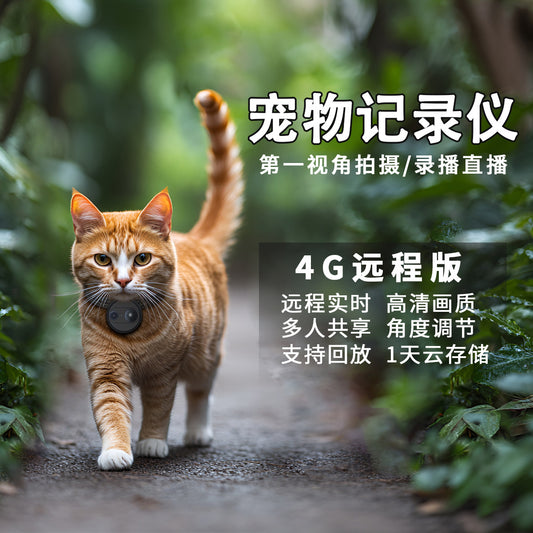 Live pet collar camera with night vision GPS tracking for dogs