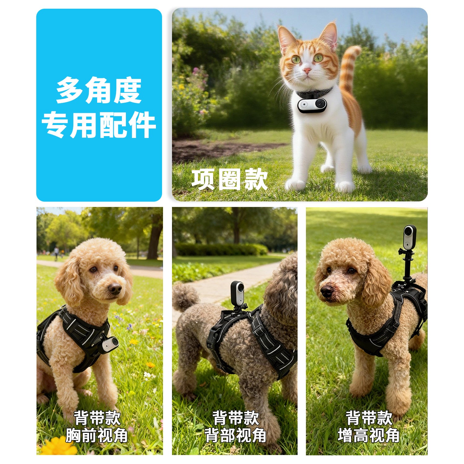 Stabilized pet POV camera with electronic image stabilization 2K