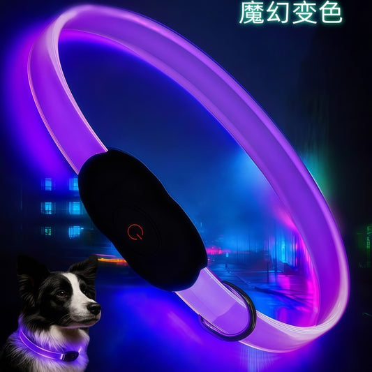 Premium 2026 LED safety dog collar with USB-C fast charging