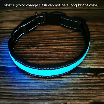 LED Dog Collar - Rechargeable Night Safety Light