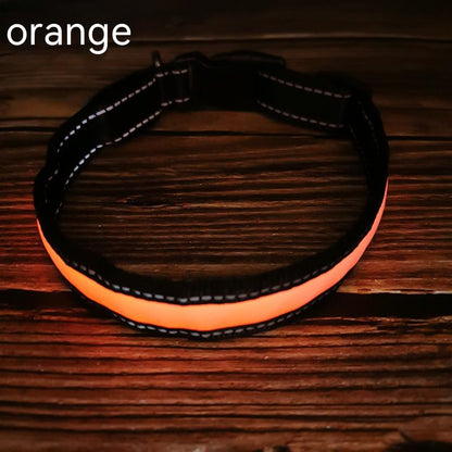 LED Dog Collar - Rechargeable Night Safety Light